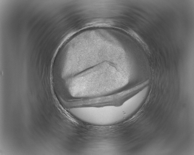 X0000056381240200509232216