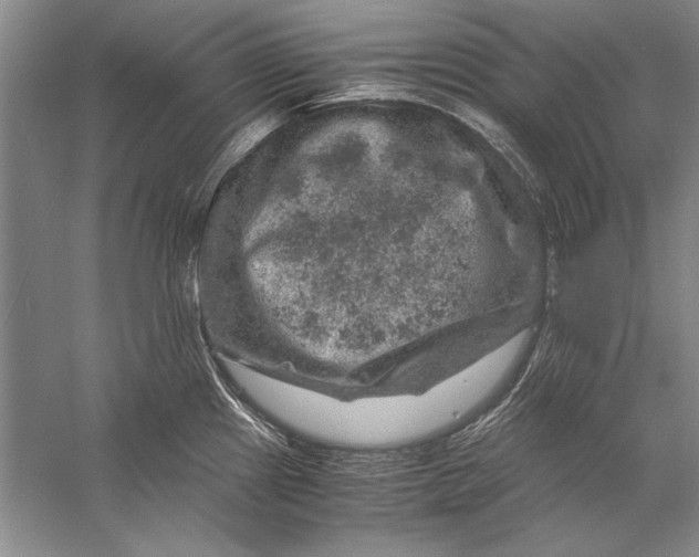 X0000056381241200509232216