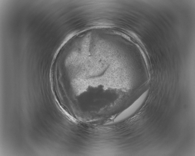 X0000056381243200509232216