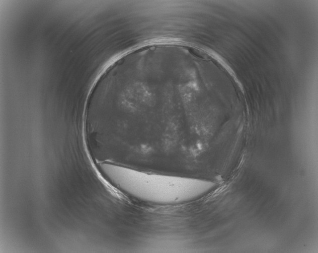 X0000056381245200509232216