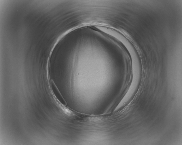 X0000056381246200509232216