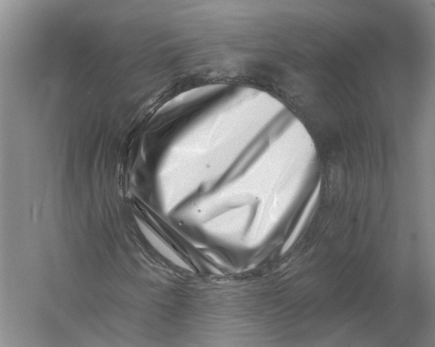 X0000056381250200509232215