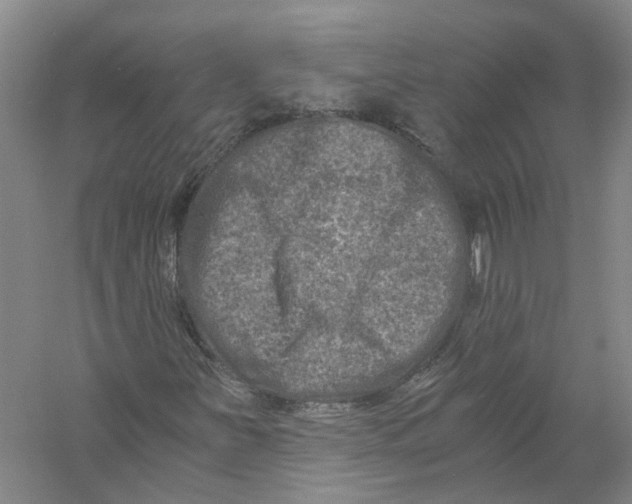 X0000056381251200509232215