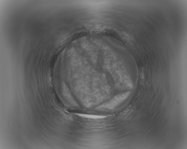 X0000056381252200509232215