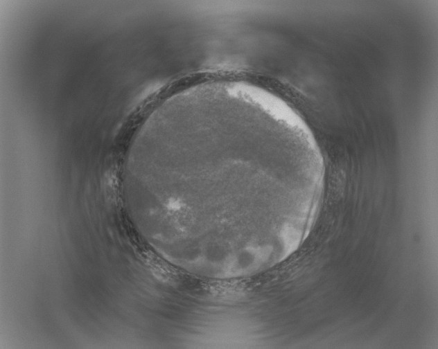 X0000056381254200509232215