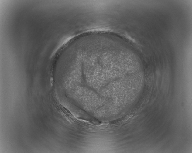 X0000056381255200509232215