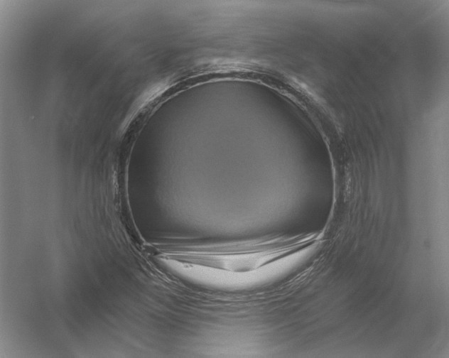 X0000056381261200509232215