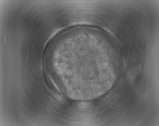 X0000056381266200509232215