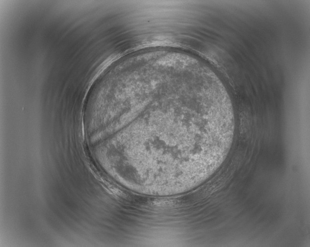 X0000056381274200509232215