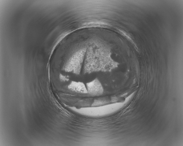 X0000056381275200509232215