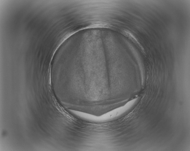 X0000056381276200509232215