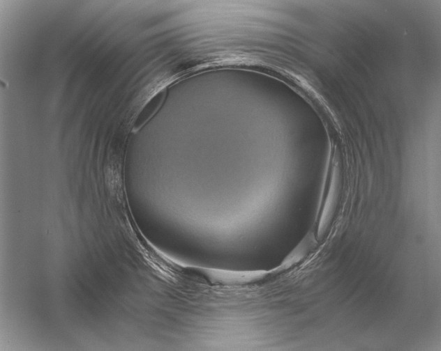 X0000056381281200509232215