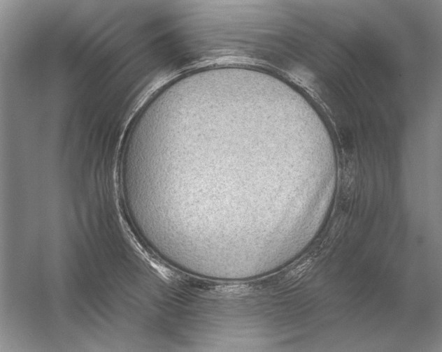 X0000056381282200509232215