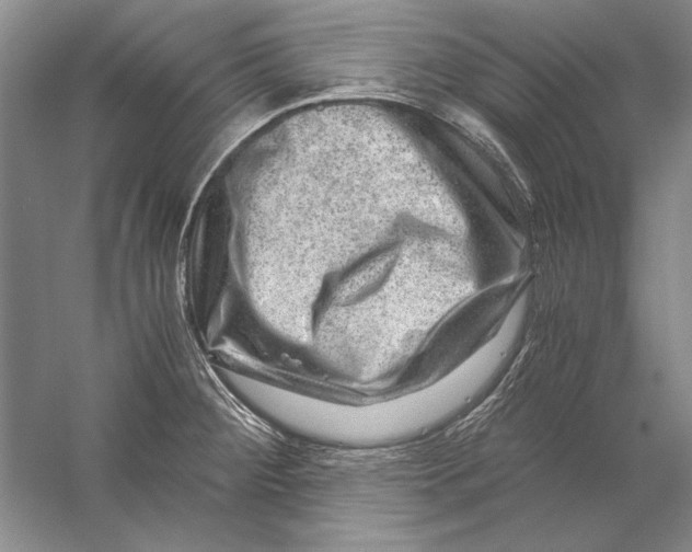 X0000056381284200509232215