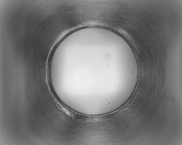 X0000056381286200509232215