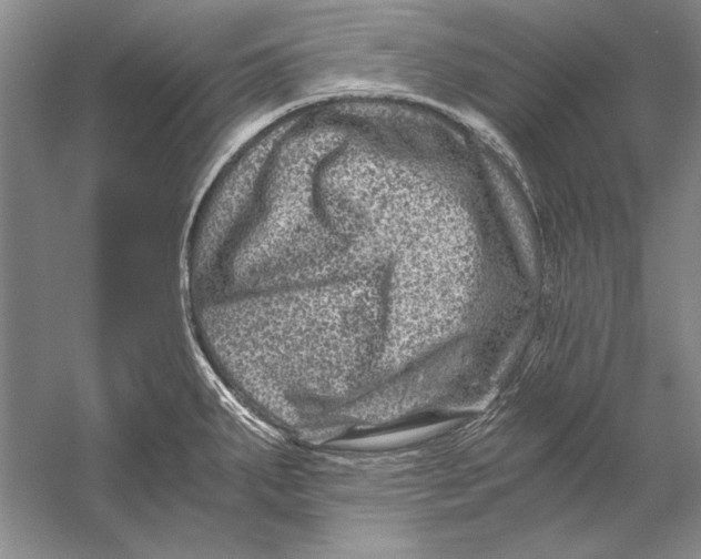 X0000056381287200509232215