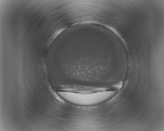 X0000056381289200509232215