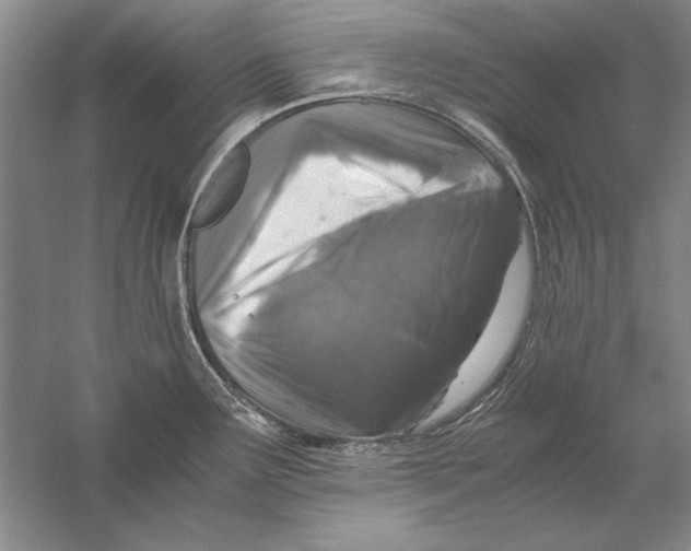 X0000056381291200509232215