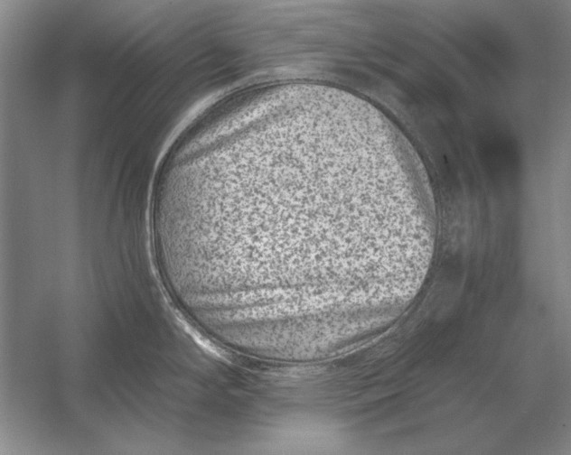 X0000056381294200509232215