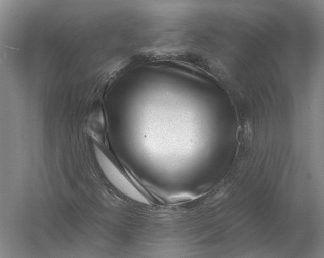 X0000056381300200509232214