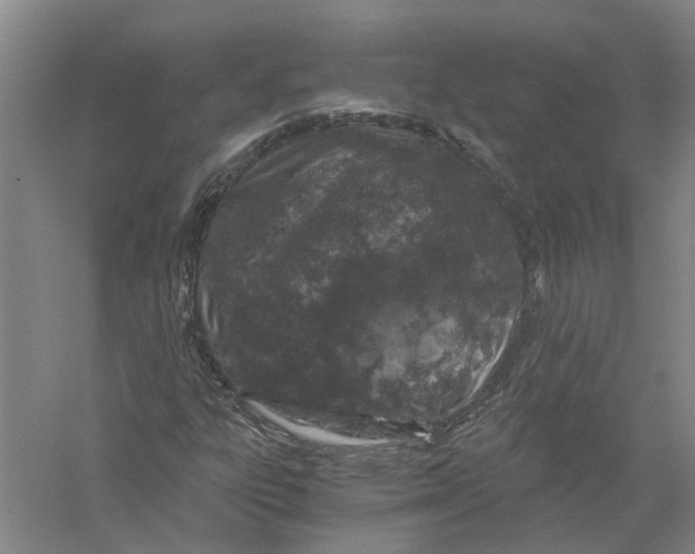 X0000056381303200509232214