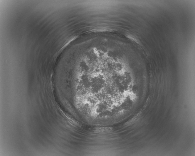 X0000056381305200509232214