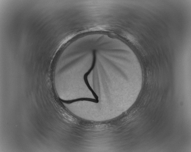 X0000056381308200509232214