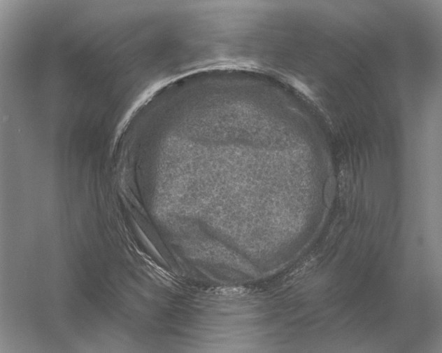 X0000056381310200509232214