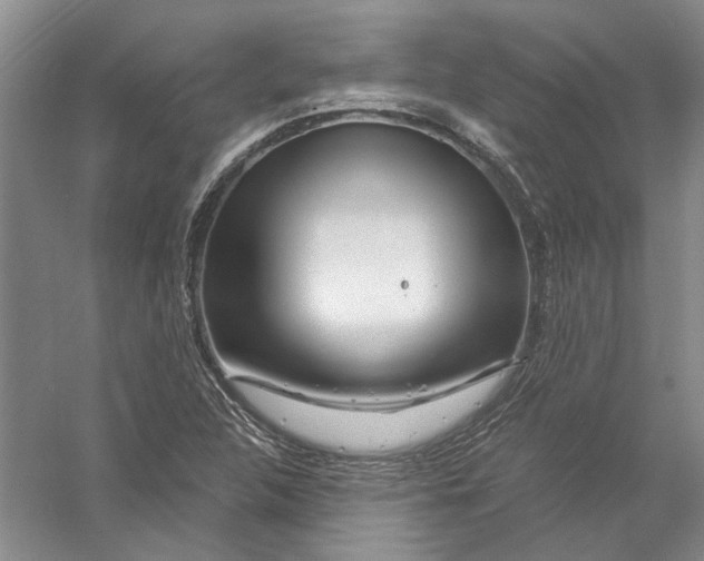 X0000056381312200509232214