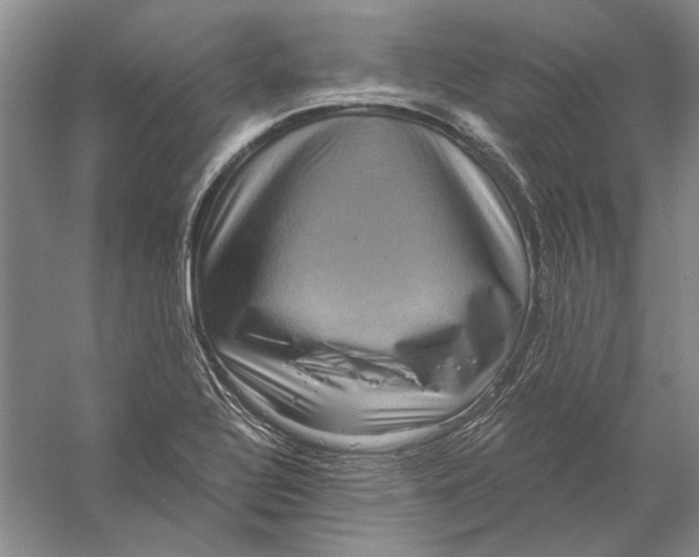 X0000056381320200509232214