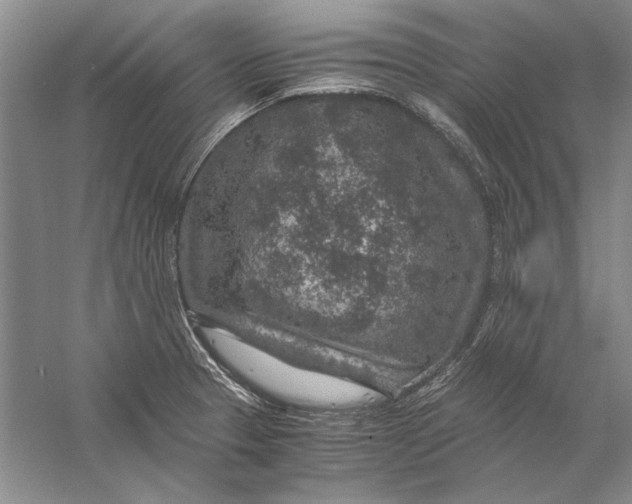 X0000056381329200509232214