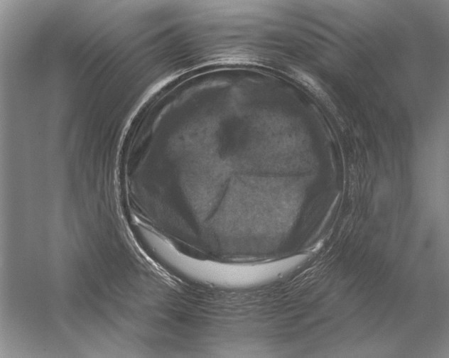 X0000056381331200509232214