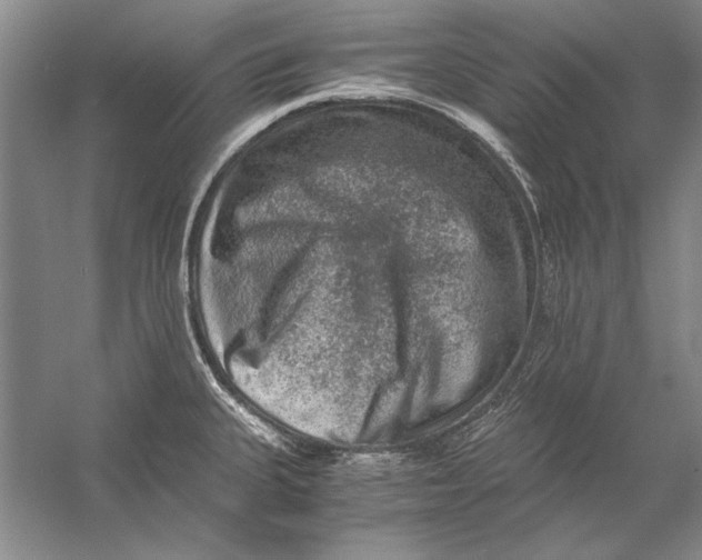 X0000056381335200509232214