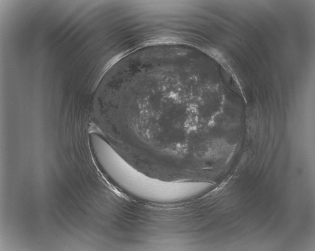 X0000056381337200509232214