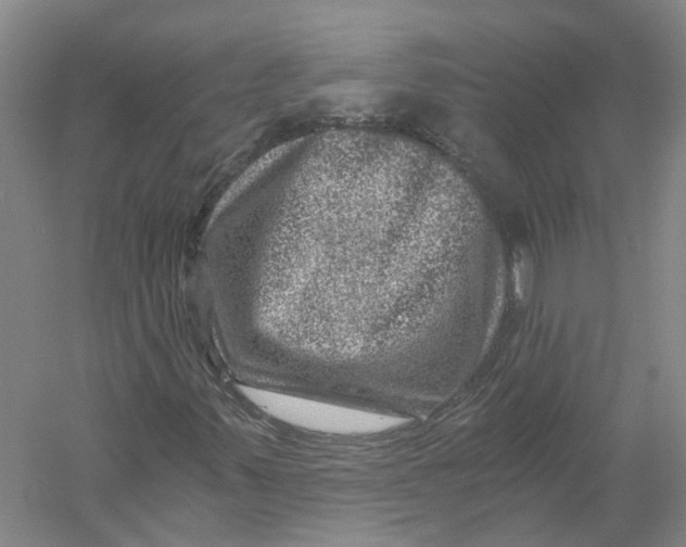 X0000056381347200509232214