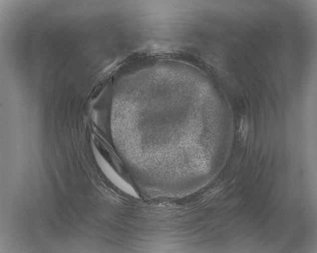 X0000056381348200509232214