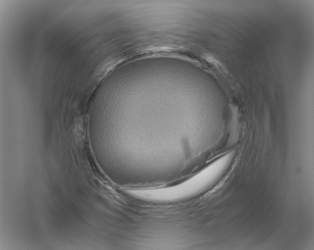 X0000056381353200509232214