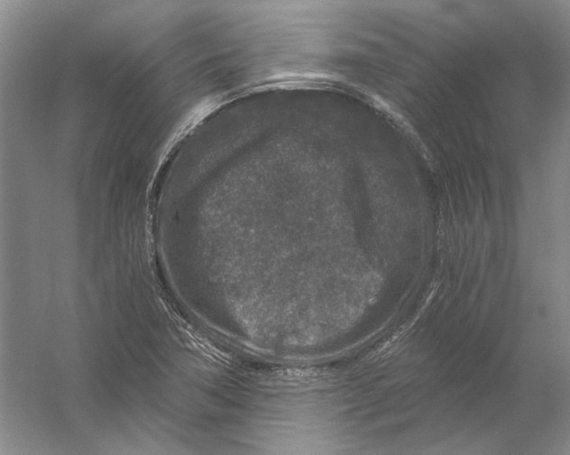 X0000056381362200509232213