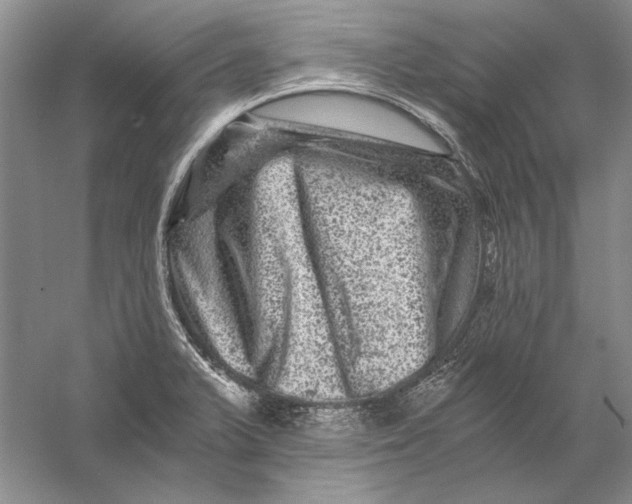 X0000056381375200509232213