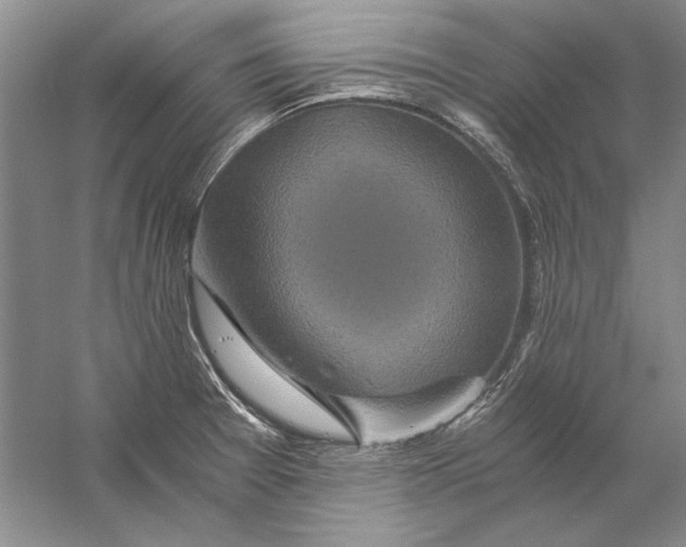 X0000056381377200509232213