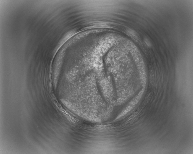 X0000056381378200509232213