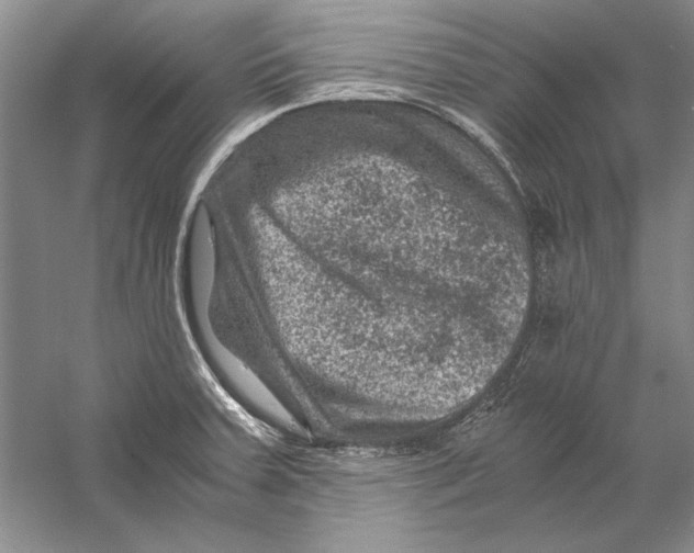 X0000056381379200509232213