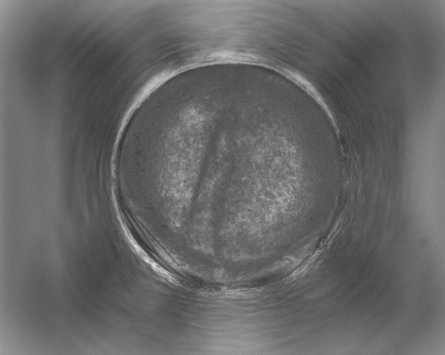 X0000056381381200509232213