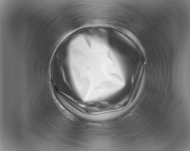 X0000056381388200509232213