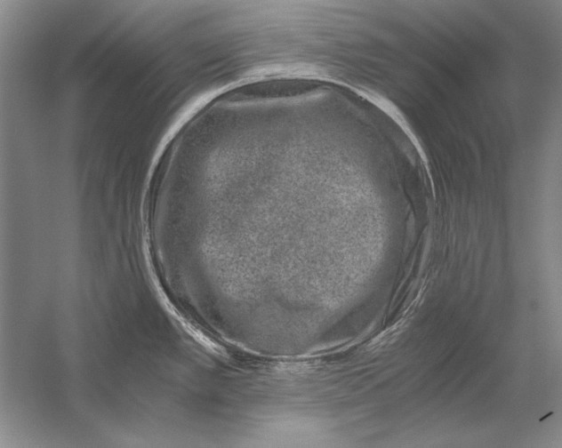 X0000056381389200509232213