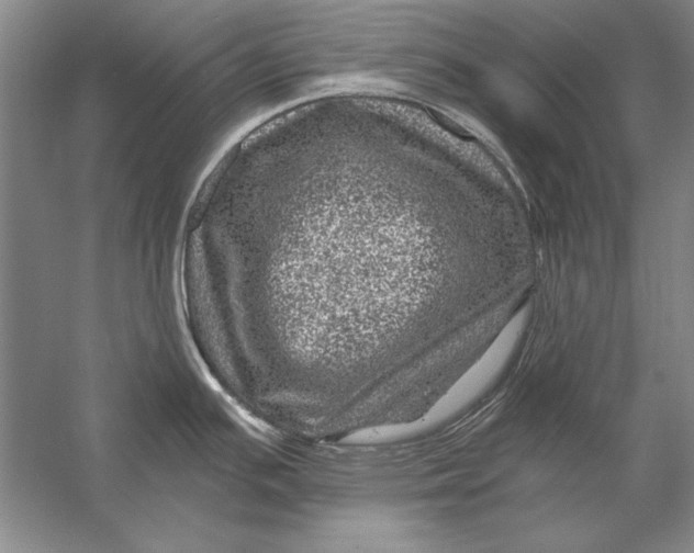 X0000056381391200509232213