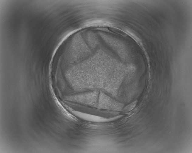 X0000056381392200509232213