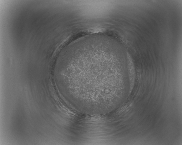 X0000056381393200509232212