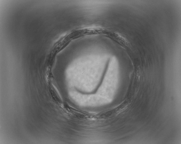 X0000056381398200509232212