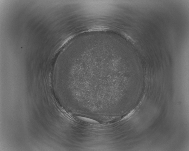 X0000056381401200509232212